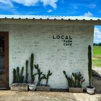 Local cafe farm☕