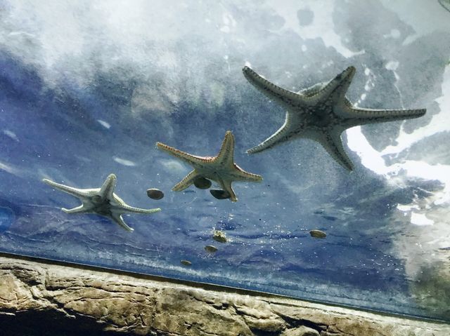 香港海洋公園