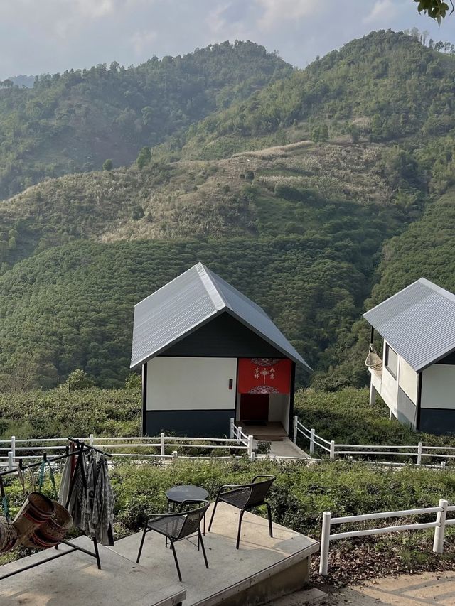 ไร่ชาวังพุดตาล บรรยากาศดีแบบ100% ⛩️🌱🍃