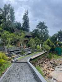 wtf cafe’ camp 🏕️🌳