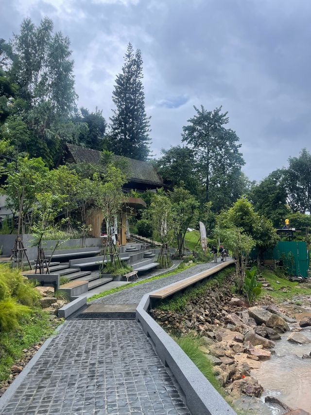wtf cafe’ camp 🏕️🌳