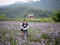 ไร่ภูผาหมวก.. เชียงดาว จ.เชียงใหม่