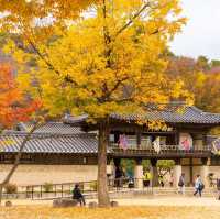 Beautiful Autumn View Korean Folk Village 