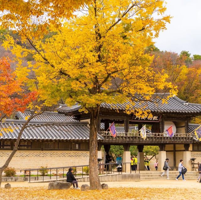 Beautiful Autumn View Korean Folk Village 