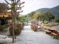Camp Tales Cafe - Glamp and Grill ชลบุรี