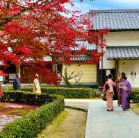 Autumn Splendor at Eigen-ji Temple