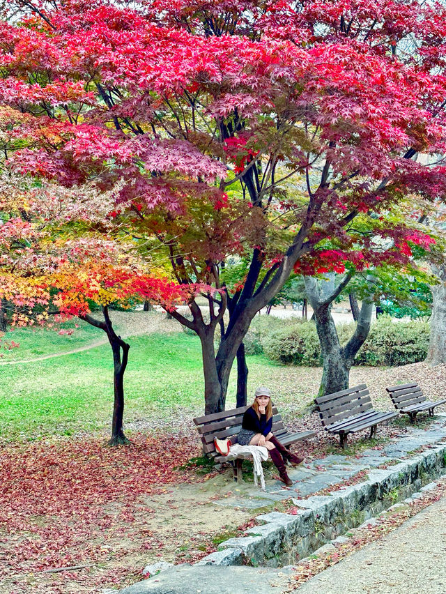 Best autumn spots in Seoul & beyond 🍁🍂