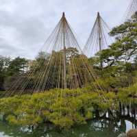 【石川県金沢市】日本庭園🌳日本の文化に触れる