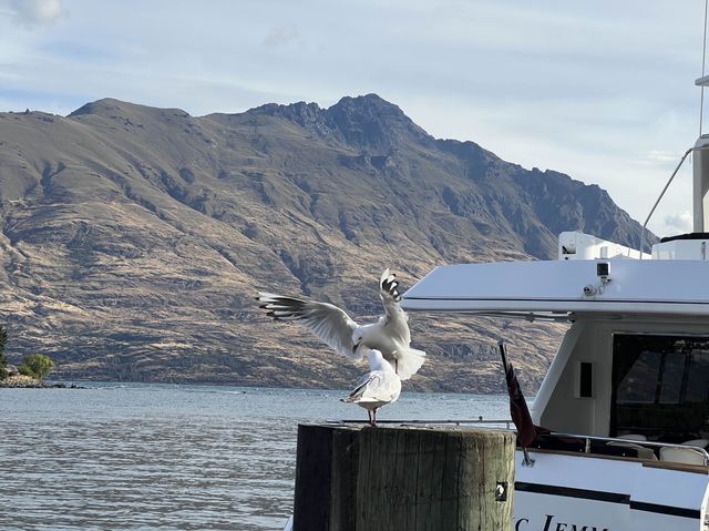 Queenstown Harbour View Walk，可以下午漫步沿著河走很棒