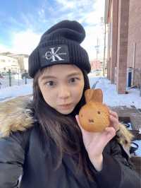 東京近郊🍀舊輕井澤銀座通小食、Miffy專門店、特色咖啡廳集中地