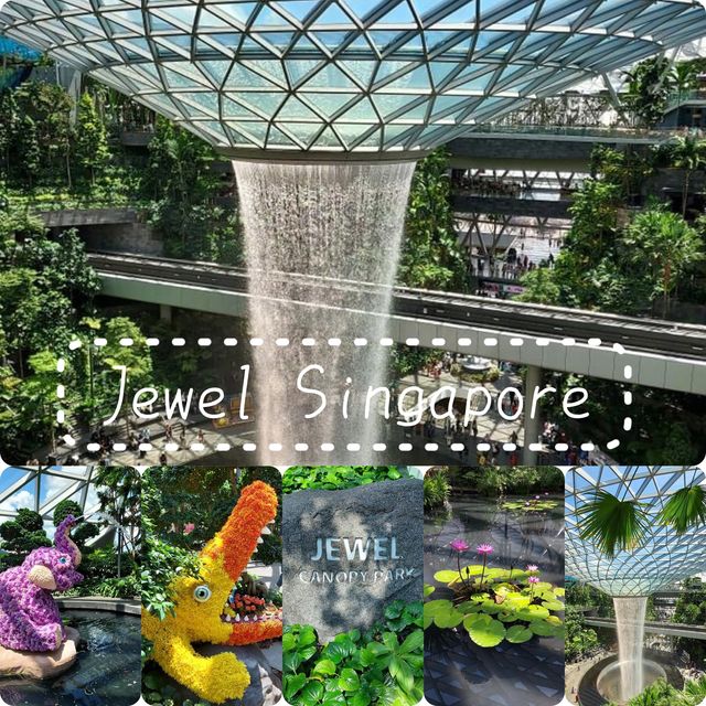 新加坡🇸🇬最新最潮景新景點🫶🏻機場為去😗離境前最後一擊