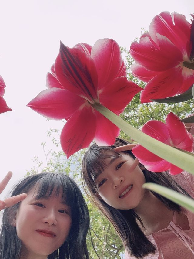 首爾林鬱金香節！