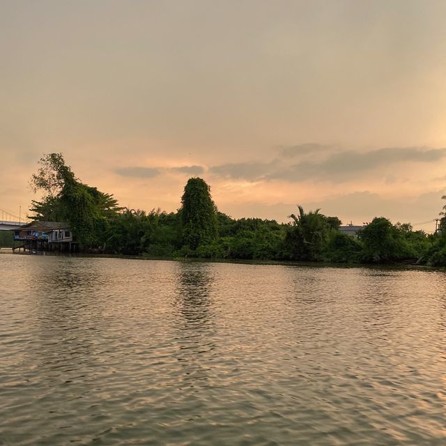 ล่องเรือ ชมหิ่งห้อยแม่น้ำตาปี ยามเย็น
