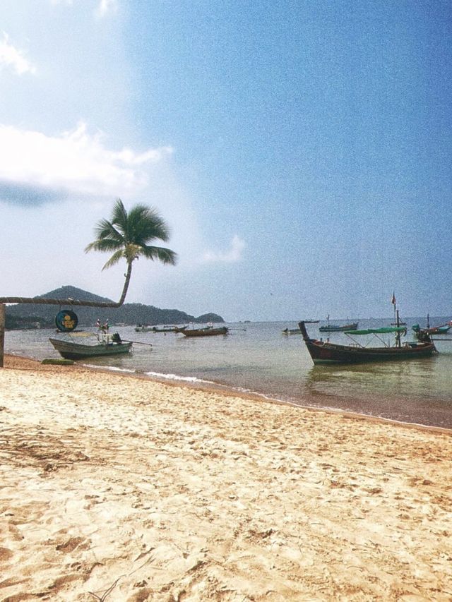 Should you visit Koh Tao, Thailand?🇹🇭