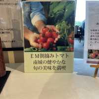 ゆいんちホテルのランチ『サンピア』
