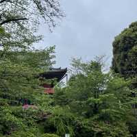 달의 소나무가 있는 청수관음당🌲