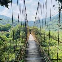 苗栗泰安 湯之島 虎山溫泉會館