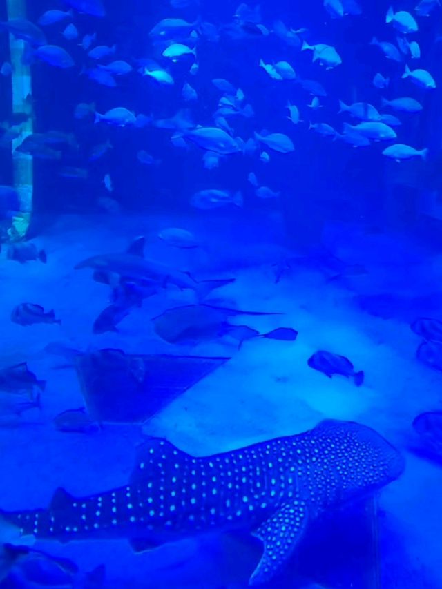 【石川・能登島】のとじま水族館