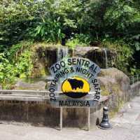 Taiping Zoo and Night Safari