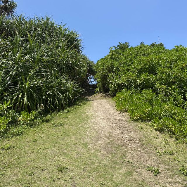 奄美「あやまる岬観光公園の展望台2」は穴場かもしれない