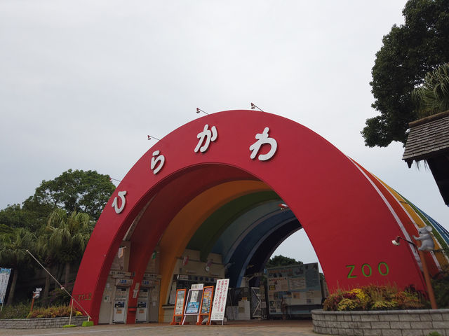 鹿兒島平川動物園探險之旅
