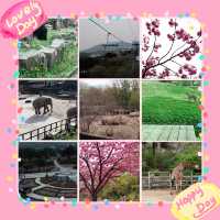 探險首爾大公園 🚡🦓🏞️