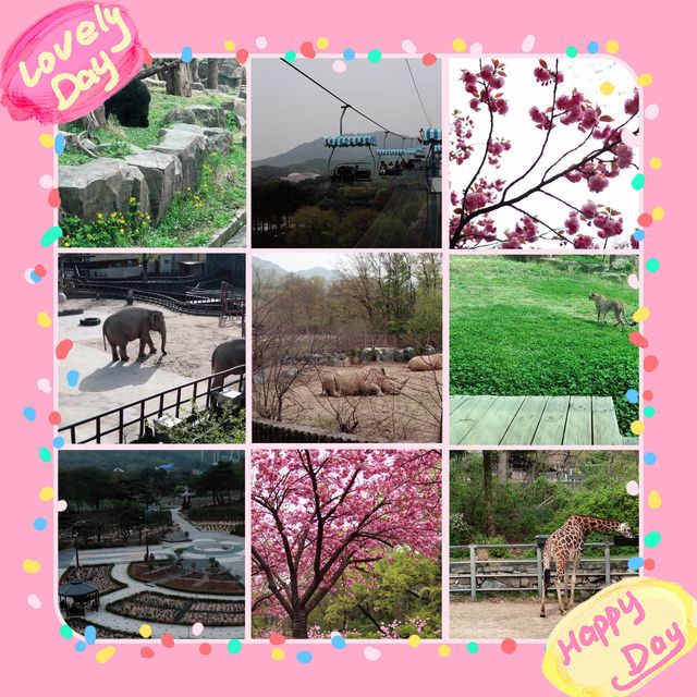 探險首爾大公園 🚡🦓🏞️