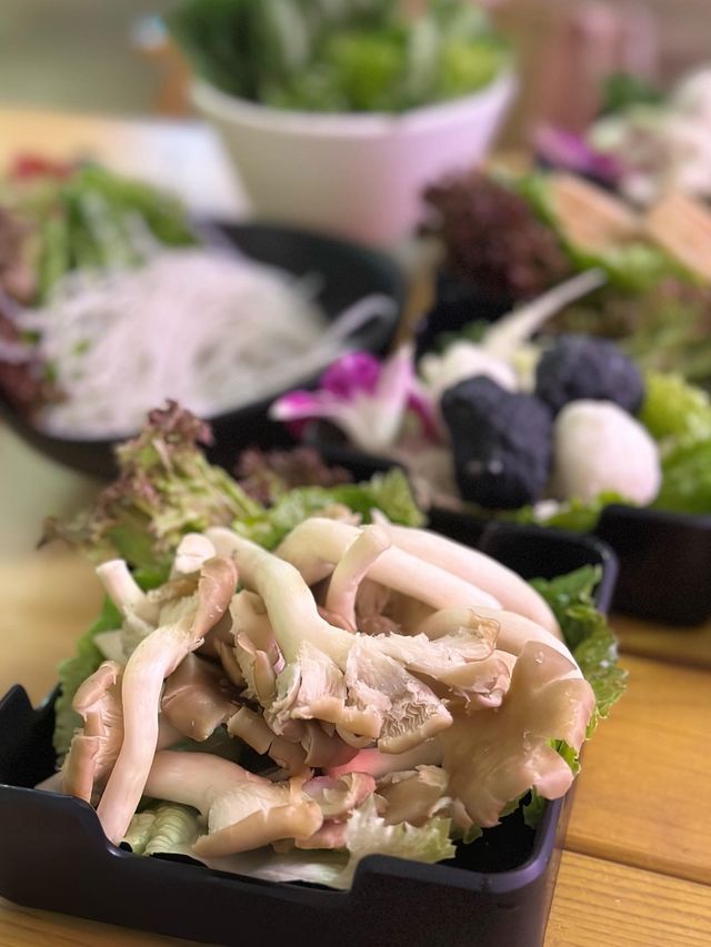 有料花膠雞鍋專門店🍲🥰🏕️