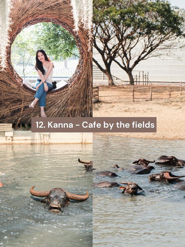 Kanna - Cafe by the fields 🐃