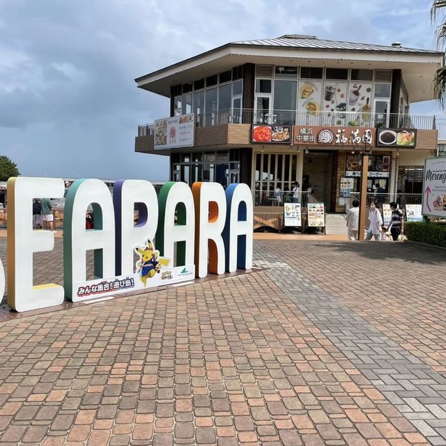 家族で楽しめる神奈川観光！！