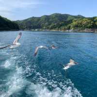 【京都】伊根湾巡りの遊覧船に乗船🚢