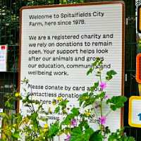 LOVELY ANIMAL FARM IN LONDON!