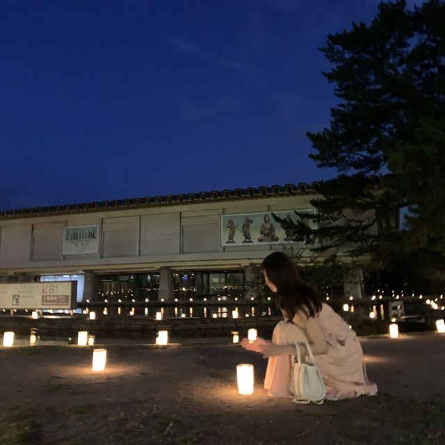 오사카 근교 나라공원 등불축제 🕯️