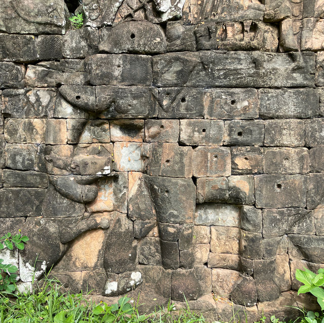 The Terrace of the Elephants