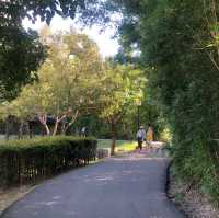 龍潭大池濕地植物區