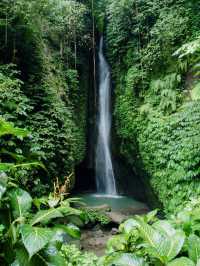 Beautiful Waterfall Surrounded By Jungle⁉️🏞️