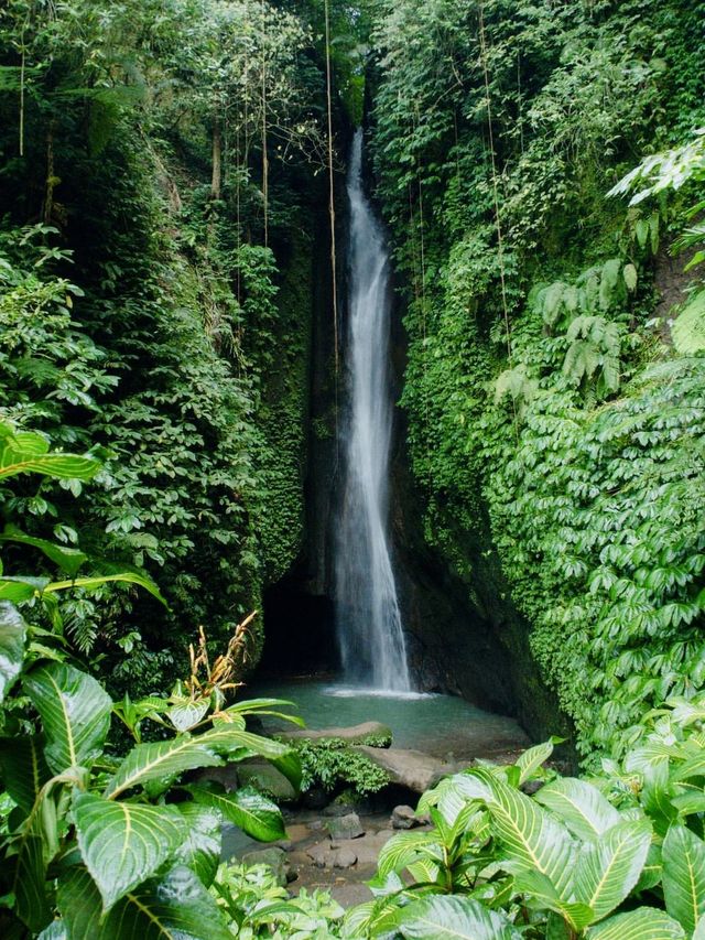 Beautiful Waterfall Surrounded By Jungle⁉️🏞️
