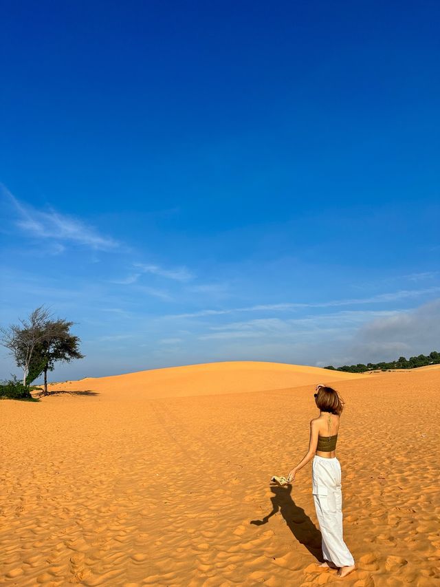 치즈가루 같은 레드샌듄🏜️ 보고 가세요😎🧡