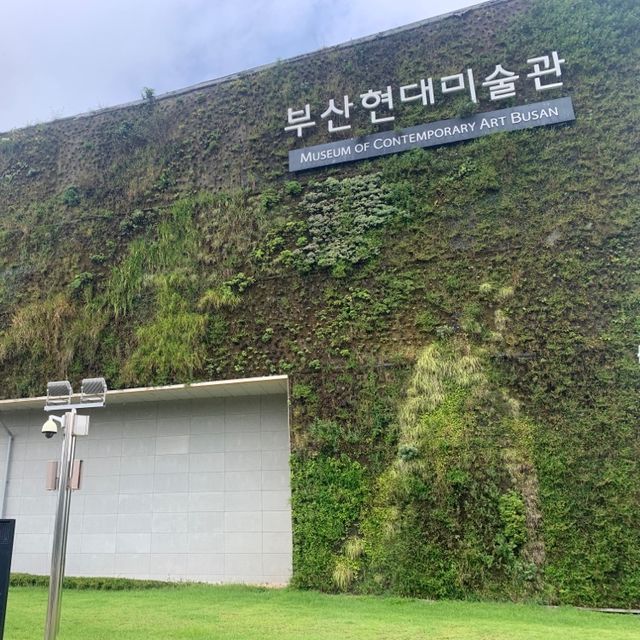 다양한 전시를 무료로 관람할 수 있는, 부산현대미술관