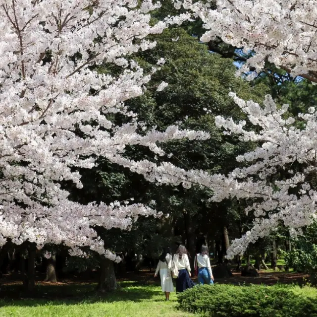 제주도의 태초의 비밀을 삼성혈에서