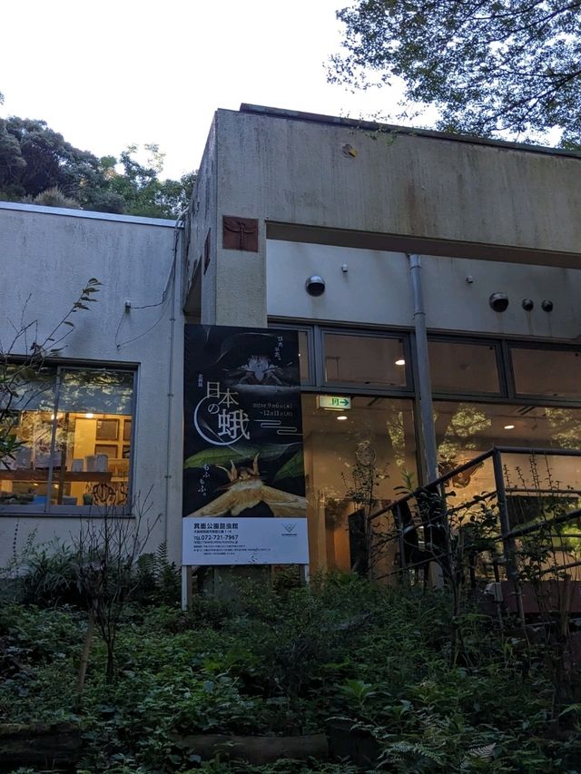【大阪箕面】箕面の森と虫のミュージアム