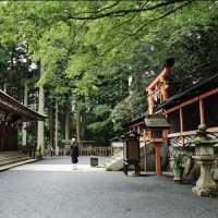 靈巖靜修！⛩️🧘 高野山
