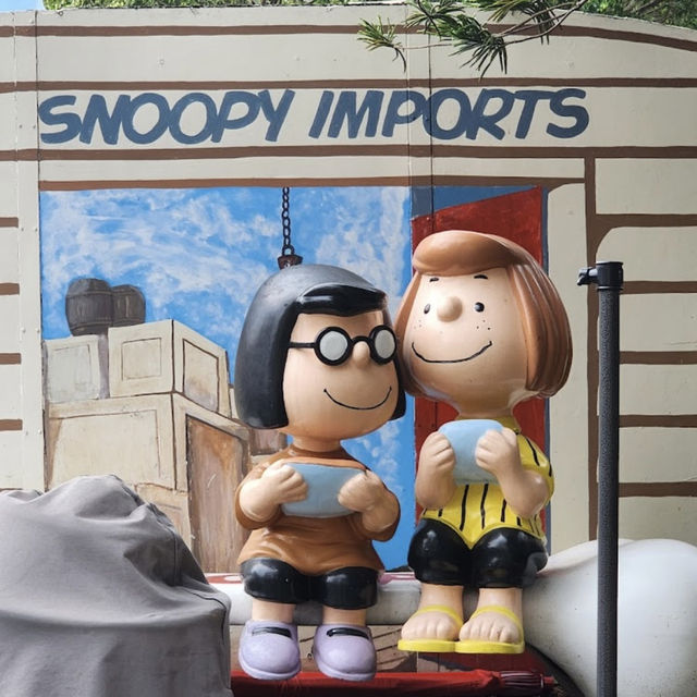 Snoopy’s world 