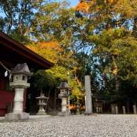 บรรยากาศฤดูใบไม้ร่วง🍁🍂