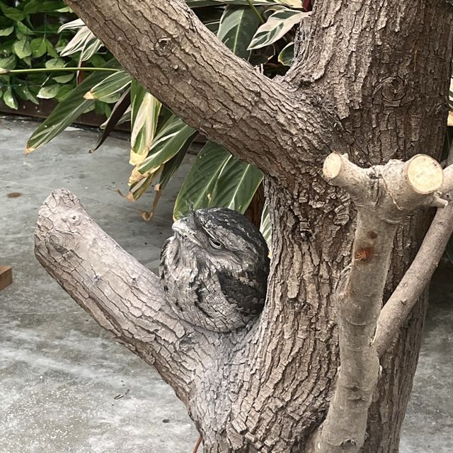 鳥と花を間近で鑑賞！