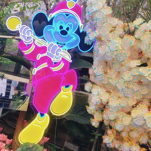 澳洲🇦🇺雪黎💕🎀🧸迪士尼主題篇🎈 The Grounds of Alexandria
