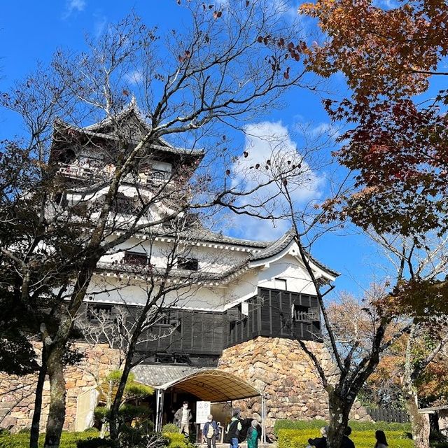 Inuyama Castle at Nagoya