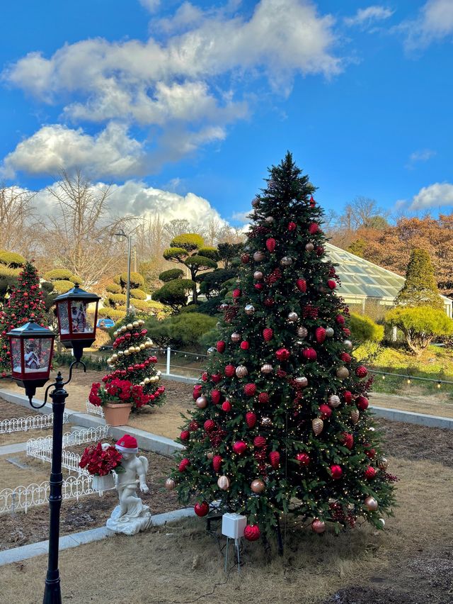 크리스마스 분위기 정원이 있는 김포 대형카페🎄💕