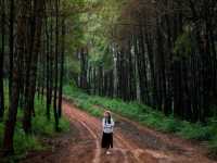 ปล่อยใจไปน่าน@บ้านภูแววิว Phuvae View Home