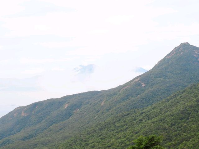 จุดชมวิว The Peak in Hong Kong